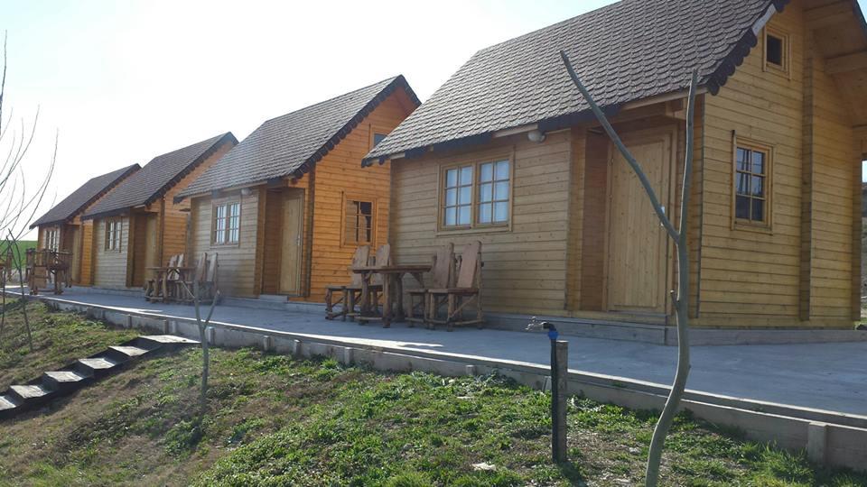 CASUTE BALTA SULIMANU 2014 - casute-sulimanu-4.jpg